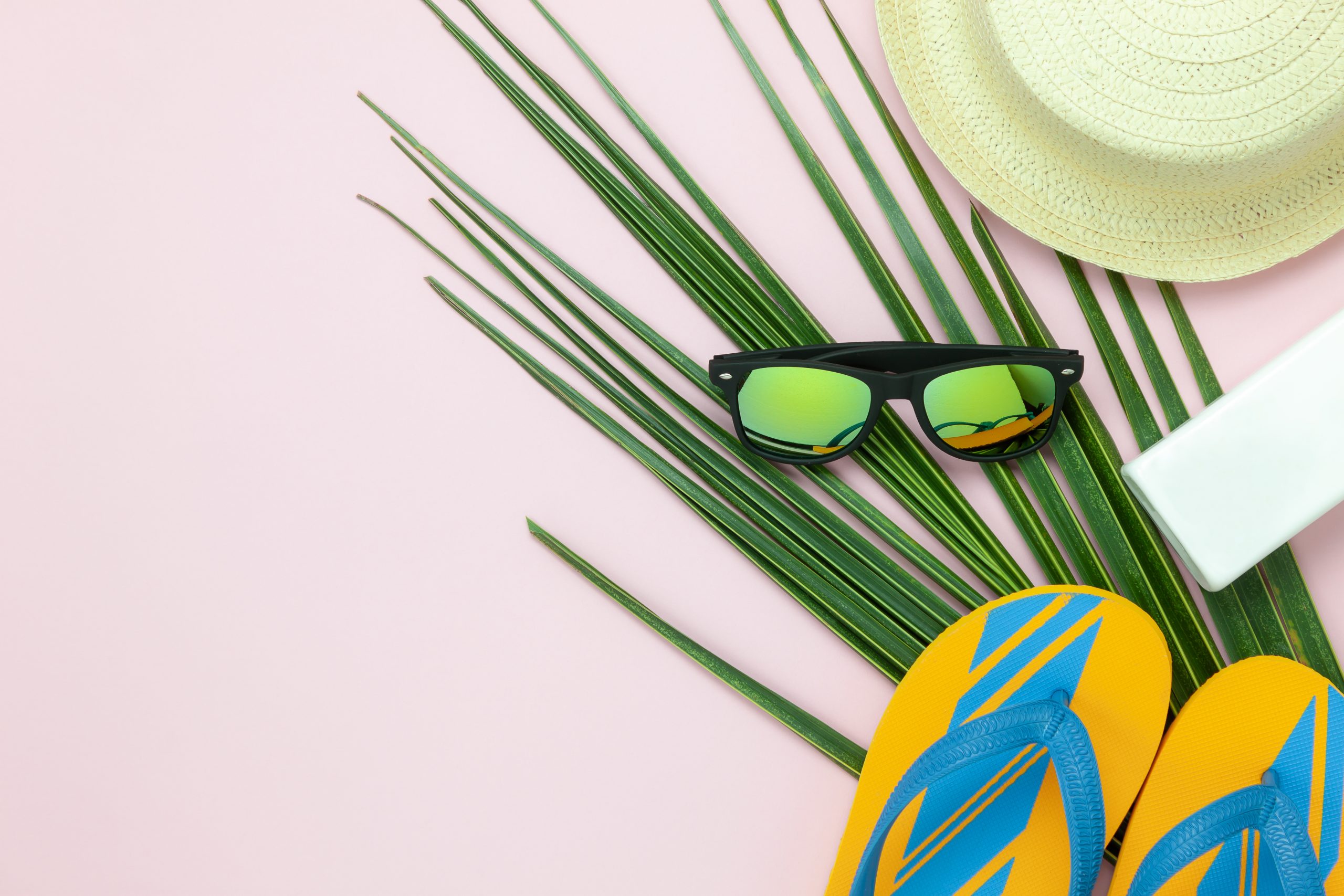 ޕިކްނިކް ދަތުރު